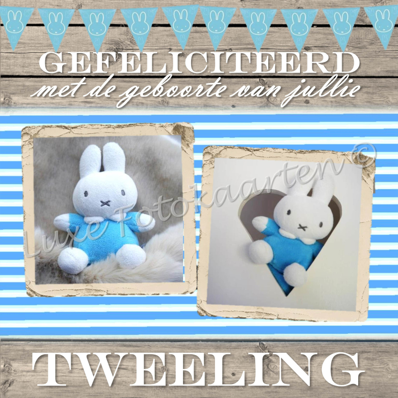 Geboorte Tweeling - 2 zonen